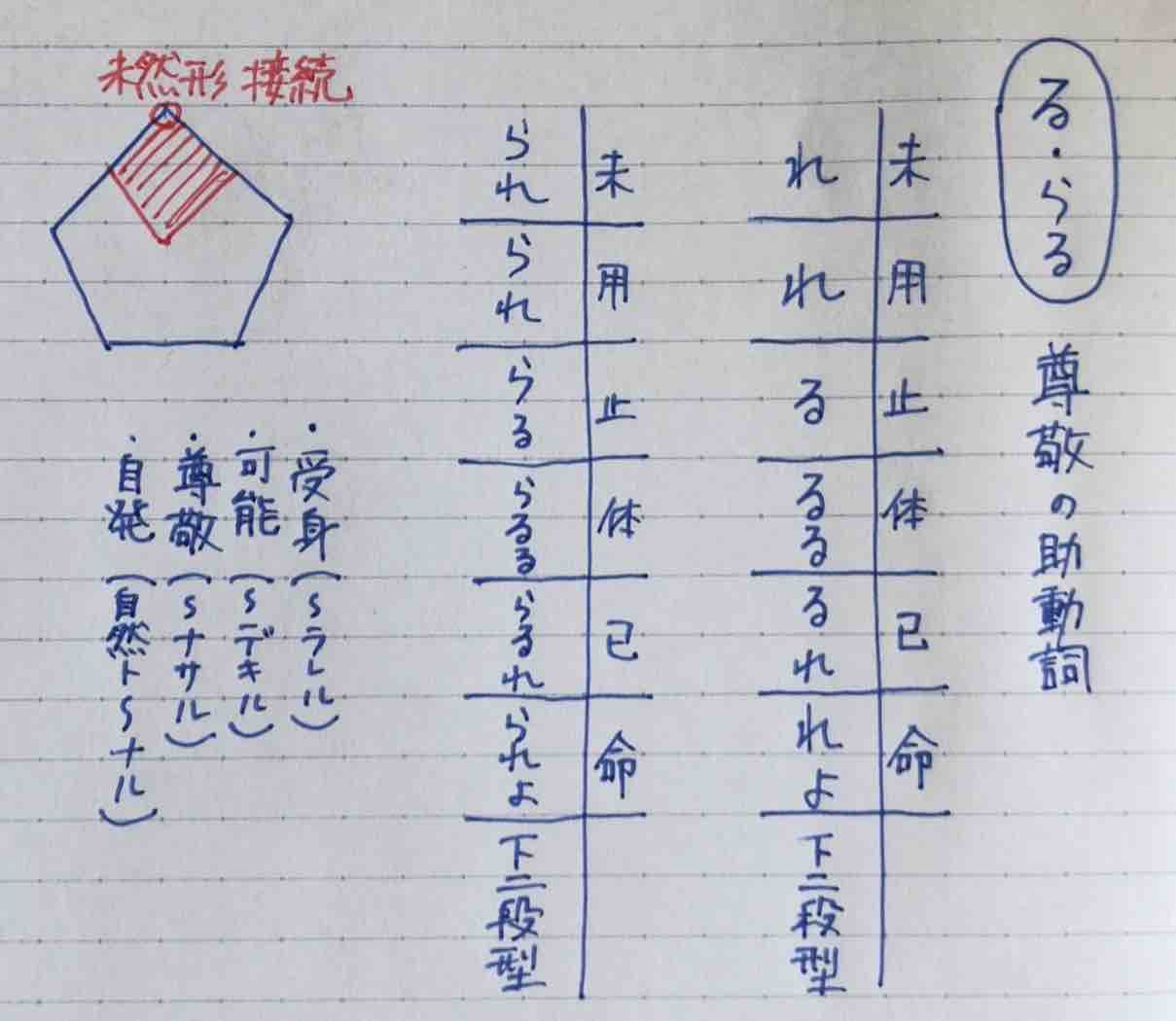 尊敬の助動詞「る」「らる」を説明！【意味の判別法も紹介】｜高3から始める大学受験